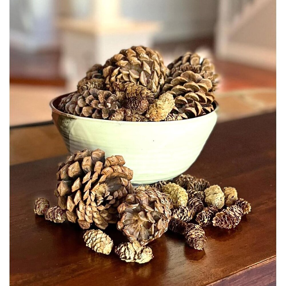 Cinnamon Scented Pine Cones 12oz Bowl Filler Decor